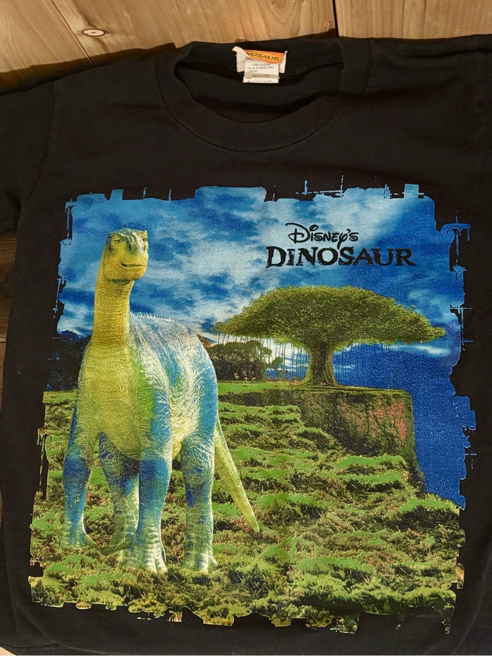 Disney's Dinosaur Kids' Black Graphic Tee